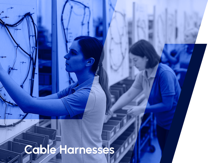 Cable Harnesses